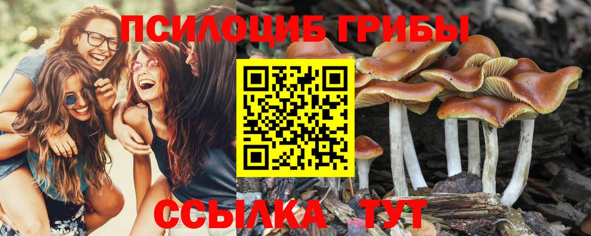 Галлюциногенные грибы Magic Shrooms Миасс